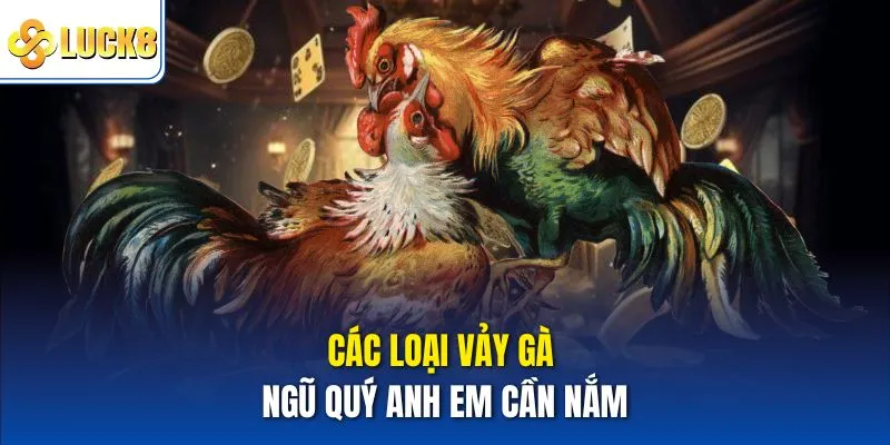 Các loại vảy gà ngũ quý anh em cần nắm