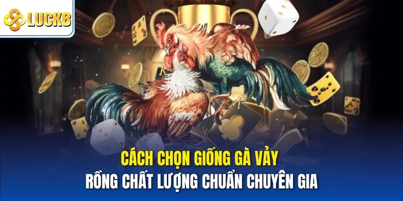 Giống Gà Vảy Rồng Có Gì Đặc Biệt - Chia Sẻ Chi Tiết Tại Luck8 4 Cách chọn giống gà vảy rồng chất lượng chuẩn chuyên gia