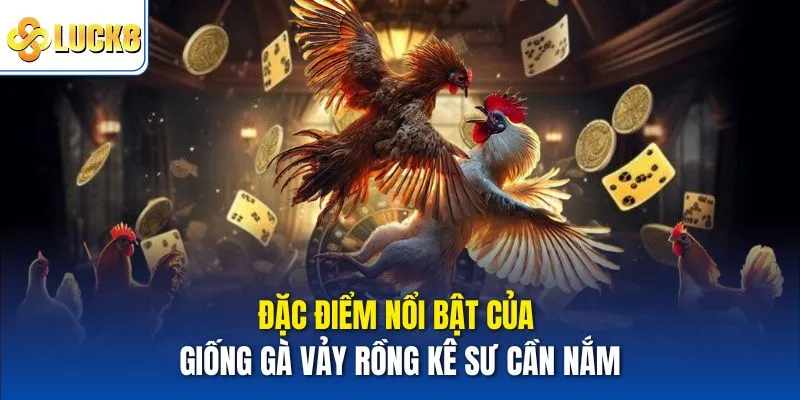 Giống Gà Vảy Rồng Có Gì Đặc Biệt - Chia Sẻ Chi Tiết Tại Luck8 3 Đặc điểm nổi bật của giống gà vảy rồng kê sư cần nắm