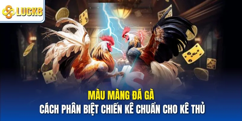 màu màng đá gà