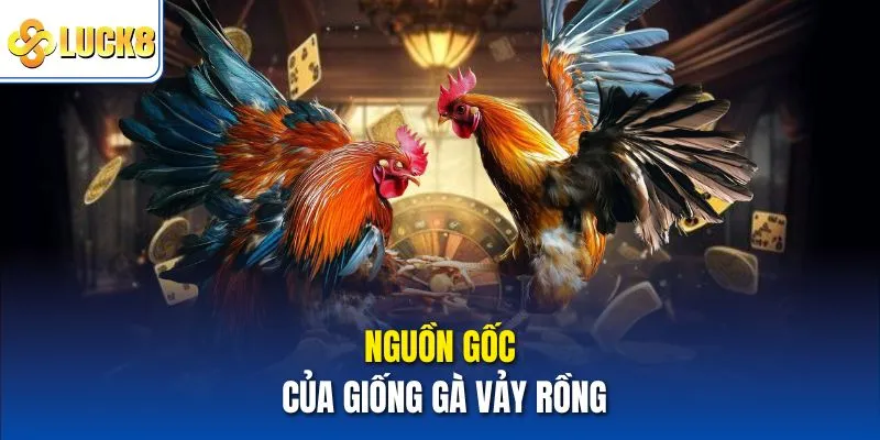 Giống Gà Vảy Rồng Có Gì Đặc Biệt - Chia Sẻ Chi Tiết Tại Luck8 2 Nguồn gốc của giống gà vảy rồng