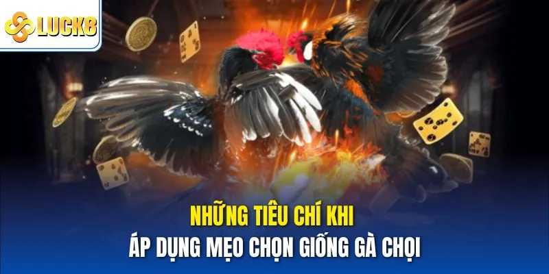 Những tiêu chí khi áp dụng Mẹo chọn giống gà chọi
