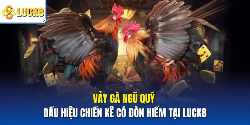 Vảy gà ngũ quý